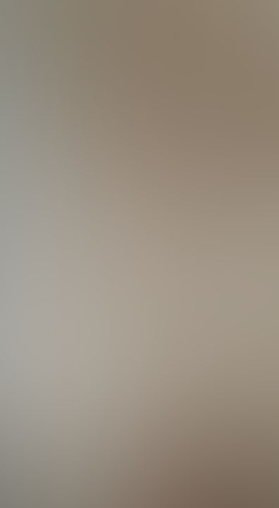 S1