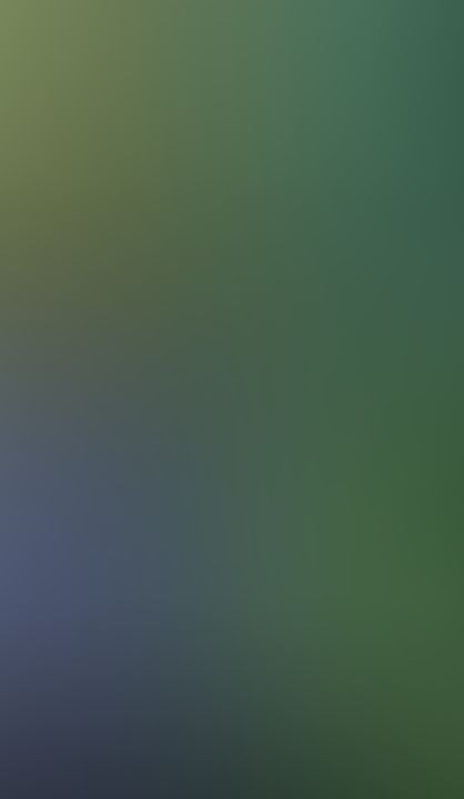 Video 3